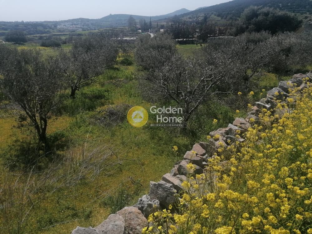 Building Plot in Syros, Syros — Photo 7 of 29