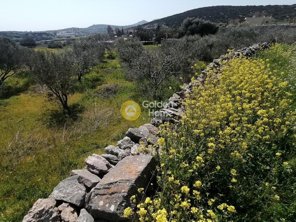 Building Plot in Syros, Syros — Photo 10 of 29