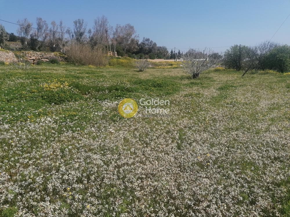 Building Plot in Syros, Syros — Photo 18 of 29