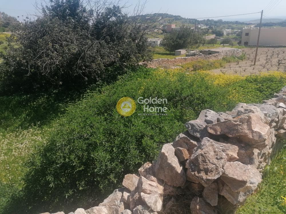 Building Plot in Syros, Syros — Photo 26 of 29