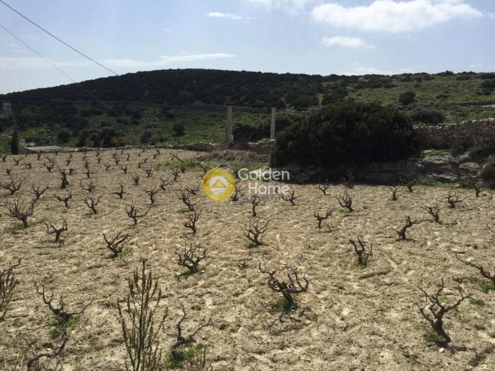 Building Plot in Syros, Syros — Photo 29 of 29