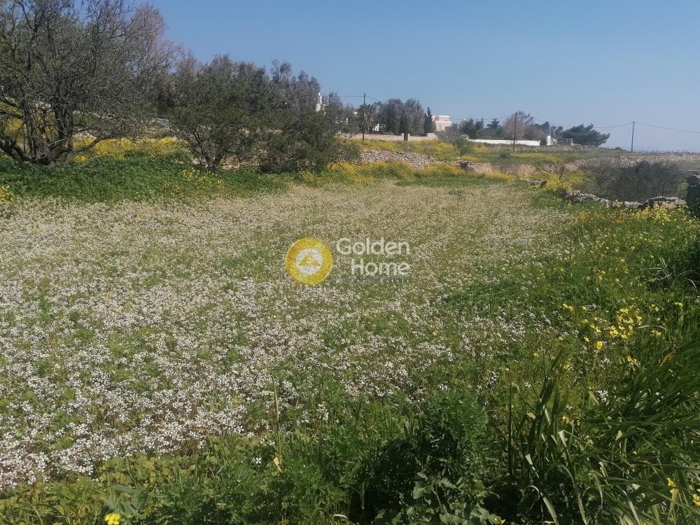 Building Plot in Syros, Syros — Photo 19 of 50