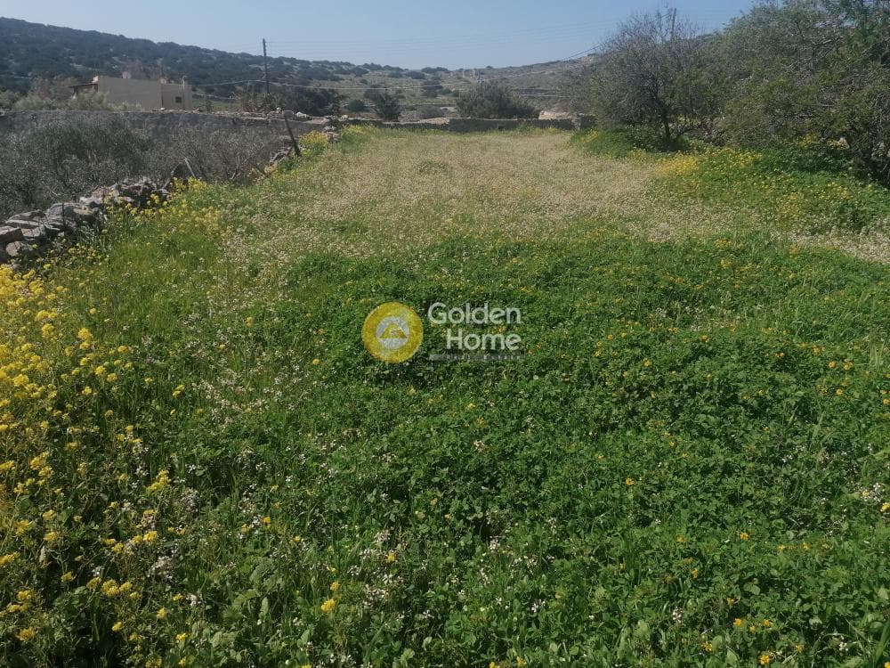 Building Plot in Syros, Syros — Photo 23 of 50