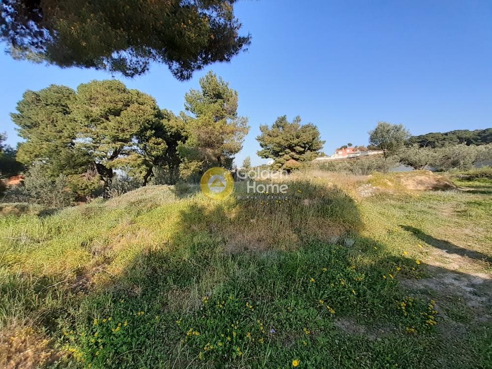 Οικόπεδο στην Βαγιά, Αίγινα — Φωτογραφία 1 από 4