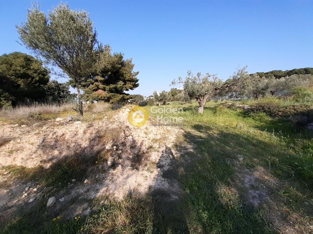 Οικόπεδο στην Βαγιά, Αίγινα — Φωτογραφία 2 από 4