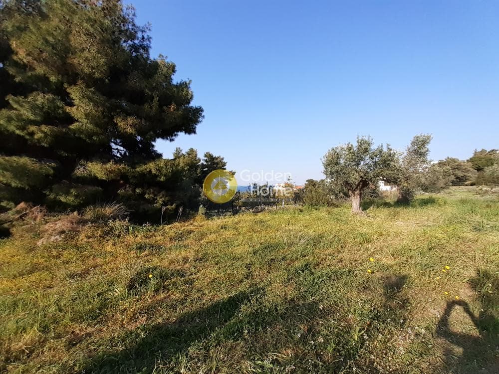 Οικόπεδο στην Βαγιά, Αίγινα — Φωτογραφία 3 από 4