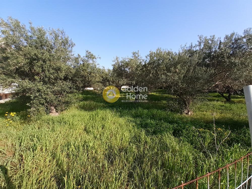Οικόπεδο στην Βαΐα, Αίγινα — Φωτογραφία 1 από 2