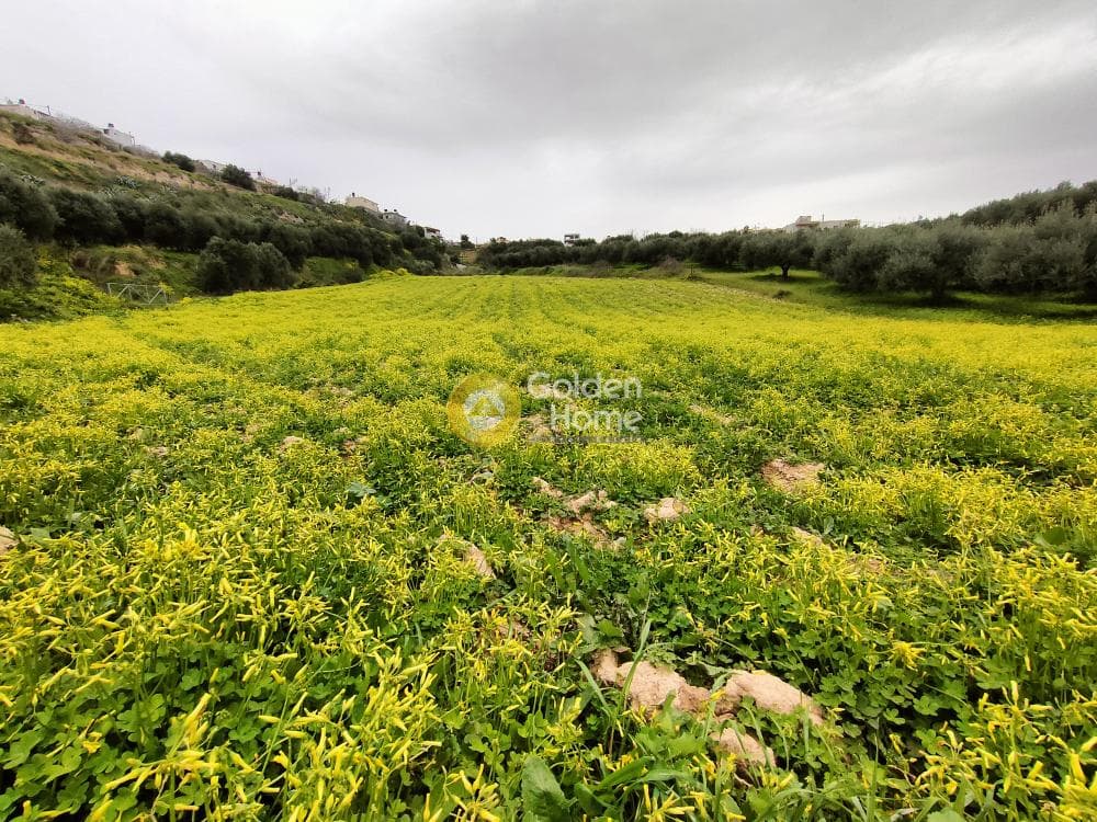 Building Plot in Elia, Episkopi — Photo 1 of 2