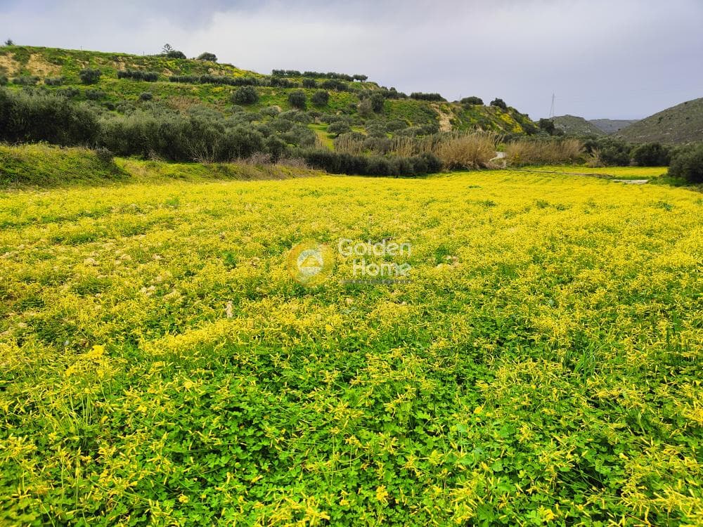 Building Plot in Elia, Episkopi — Photo 2 of 2