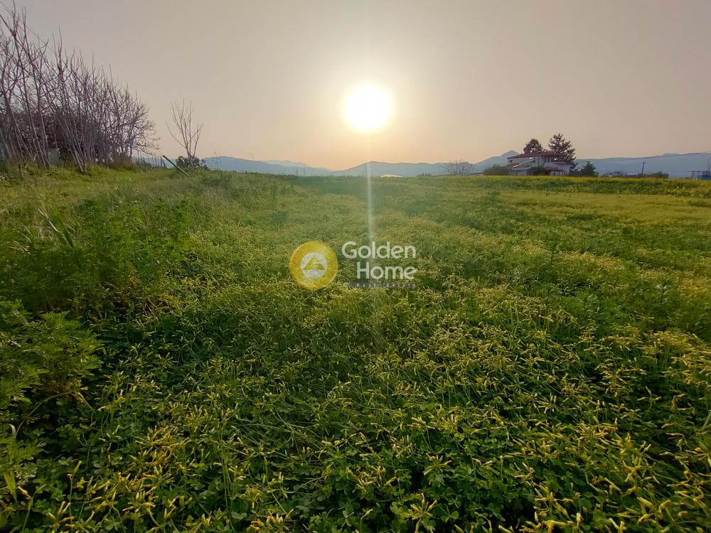 Building Plot in Giofirakia, Temenos — Photo 9 of 18