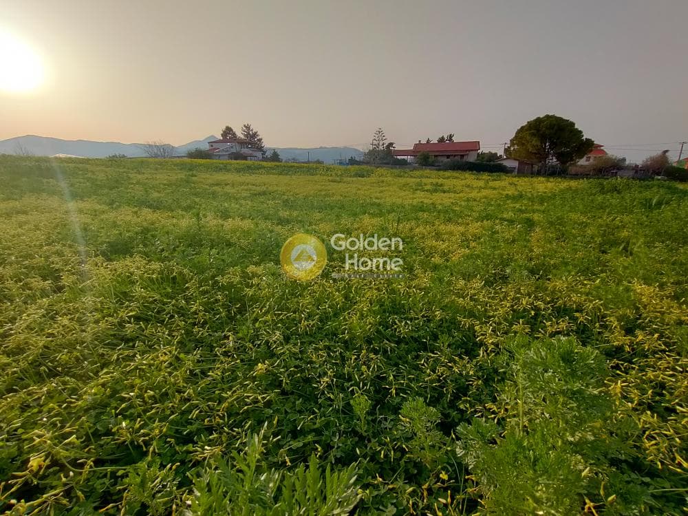 Building Plot in Giofirakia, Temenos — Photo 11 of 18