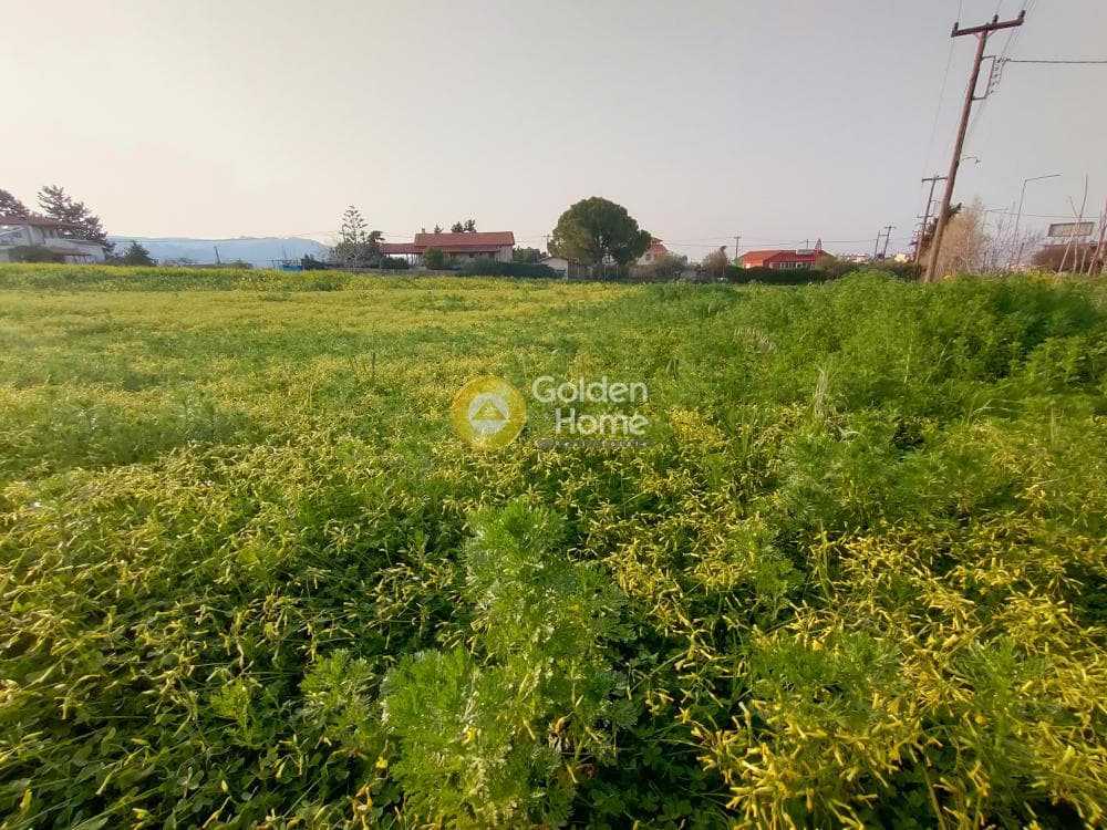Building Plot in Giofirakia, Temenos — Photo 12 of 18