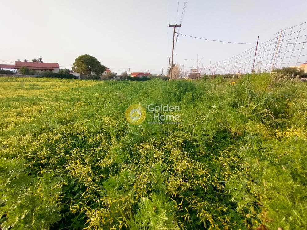 Building Plot in Giofirakia, Temenos — Photo 13 of 18