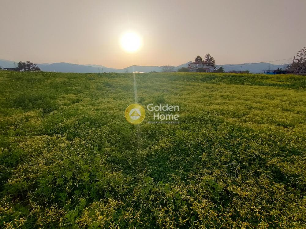 Building Plot in Giofirakia, Temenos — Photo 15 of 18
