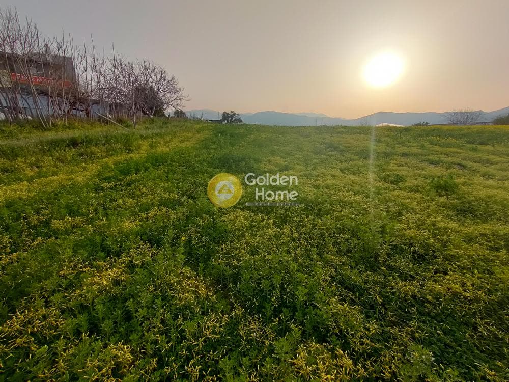 Building Plot in Giofirakia, Temenos — Photo 16 of 18