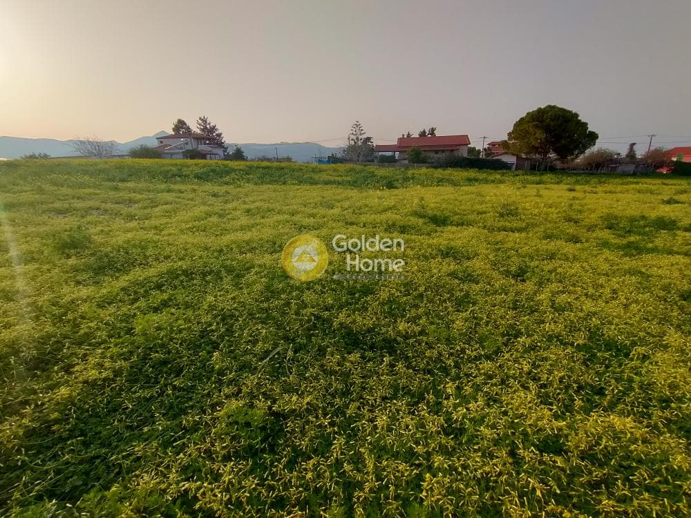 Building Plot in Giofirakia, Temenos — Photo 17 of 18