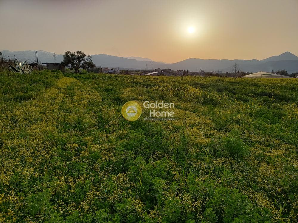 Building Plot in Giofirakia, Temenos — Photo 18 of 18