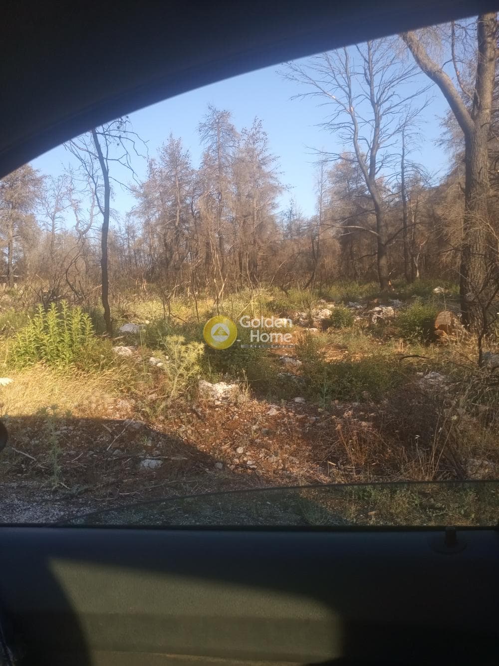 Building Plot in Avgi, Afidnes