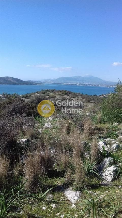 Αγροτεμάχιο στην Βασιλικά, Σαλαμίνα — Φωτογραφία 3 από 11