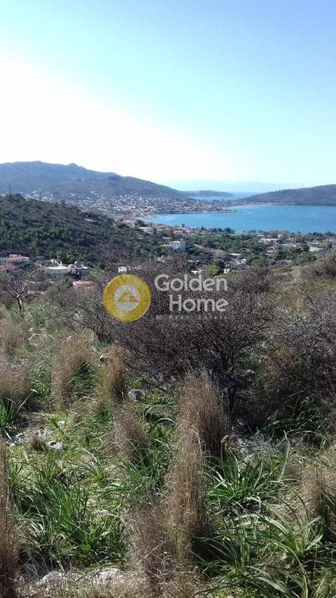 Αγροτεμάχιο στην Βασιλικά, Σαλαμίνα — Φωτογραφία 1 από 11