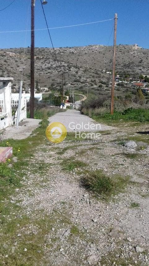 Αγροτεμάχιο στην Βασιλικά, Σαλαμίνα — Φωτογραφία 2 από 11