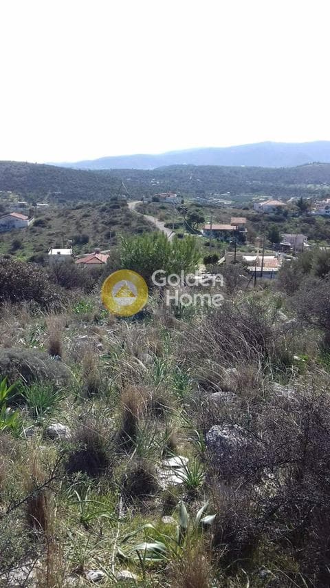 Αγροτεμάχιο στην Βασιλικά, Σαλαμίνα — Φωτογραφία 4 από 11