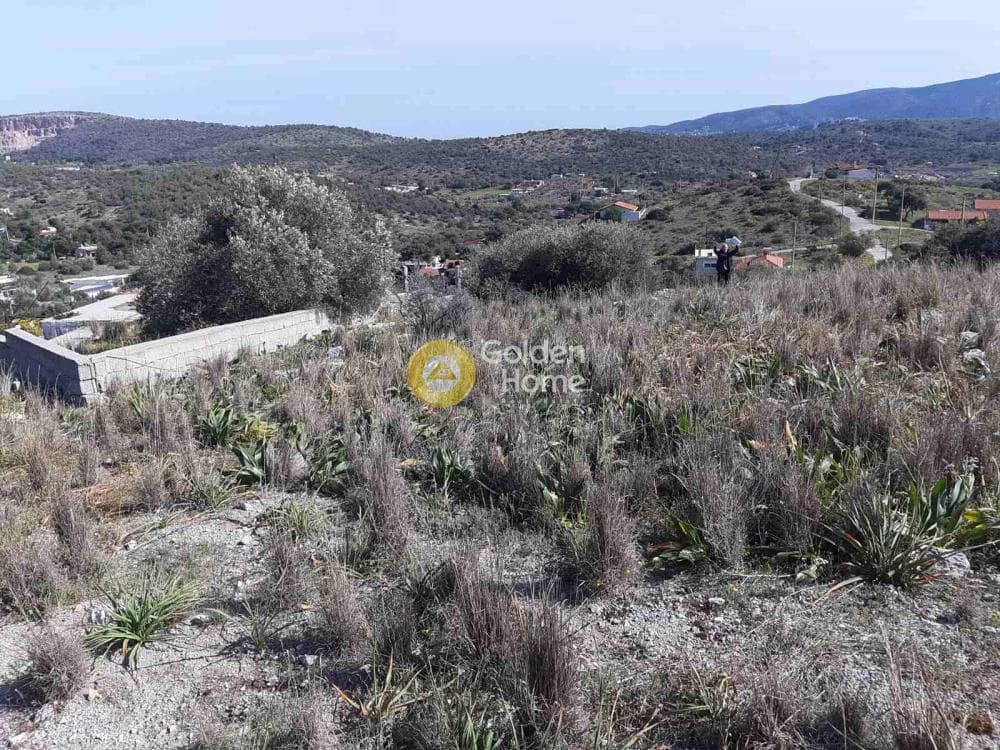 Αγροτεμάχιο στην Βασιλικά, Σαλαμίνα — Φωτογραφία 11 από 11