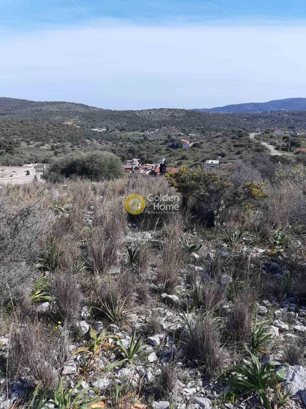 Αγροτεμάχιο στην Βασιλικά, Σαλαμίνα — Φωτογραφία 6 από 11