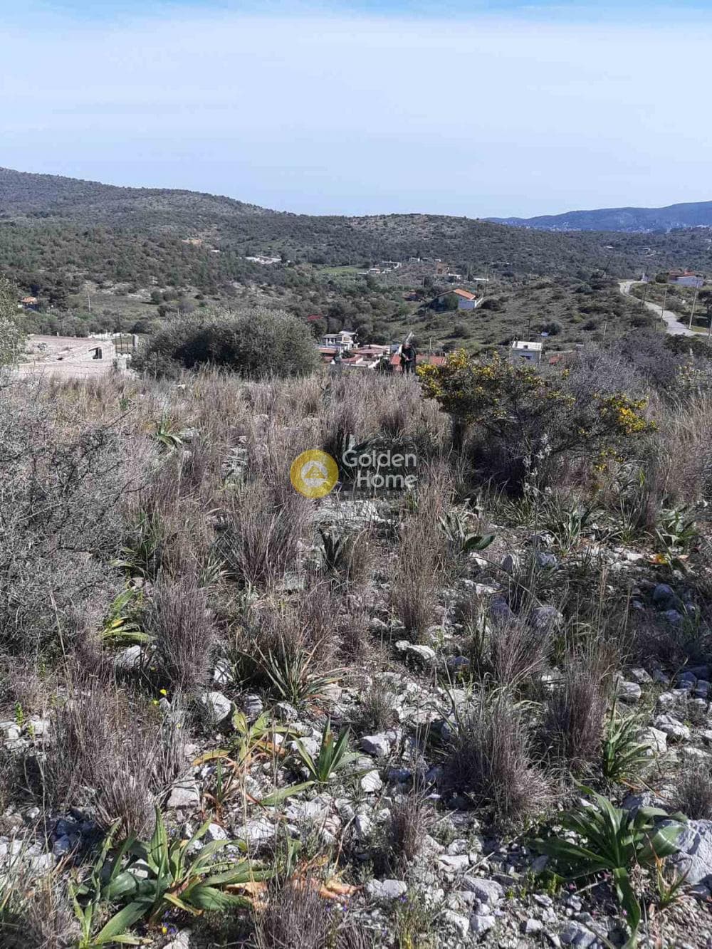Αγροτεμάχιο στην Βασιλικά, Σαλαμίνα — Φωτογραφία 7 από 11