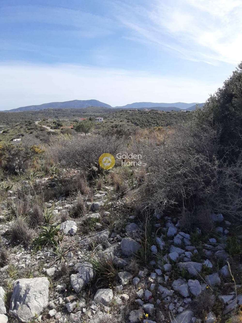 Αγροτεμάχιο στην Βασιλικά, Σαλαμίνα — Φωτογραφία 9 από 11