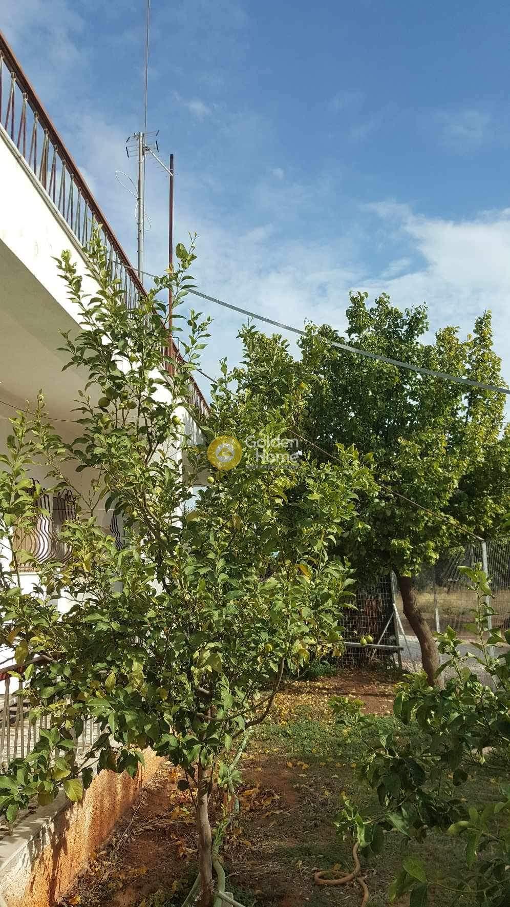 House in Neo Livissi, Nea Makri — Photo 6 of 11