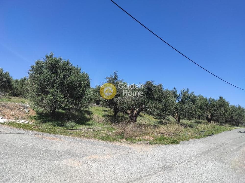 Οικόπεδο στην Χατζανά, Γούβες
