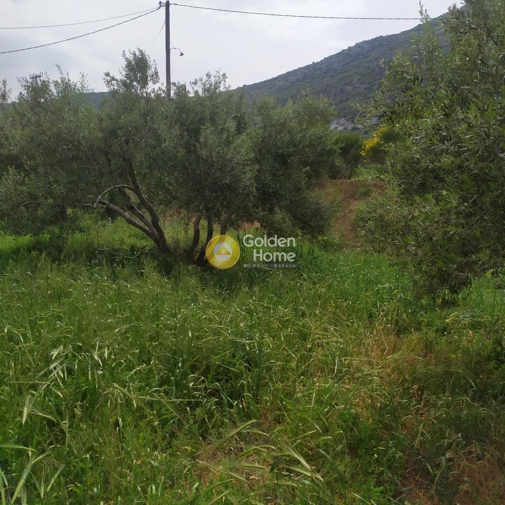 Building Plot in Epano Archanes, Archanes — Photo 5 of 17