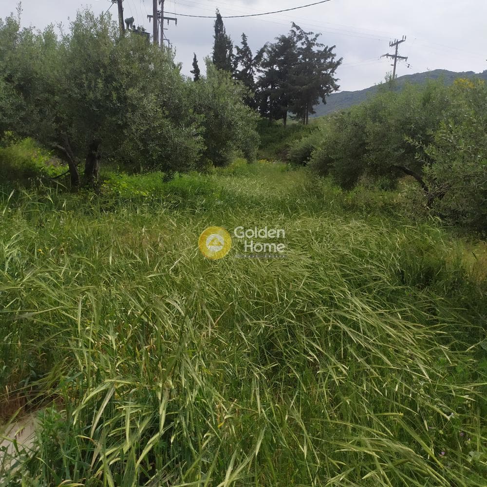 Building Plot in Epano Archanes, Archanes — Photo 1 of 17