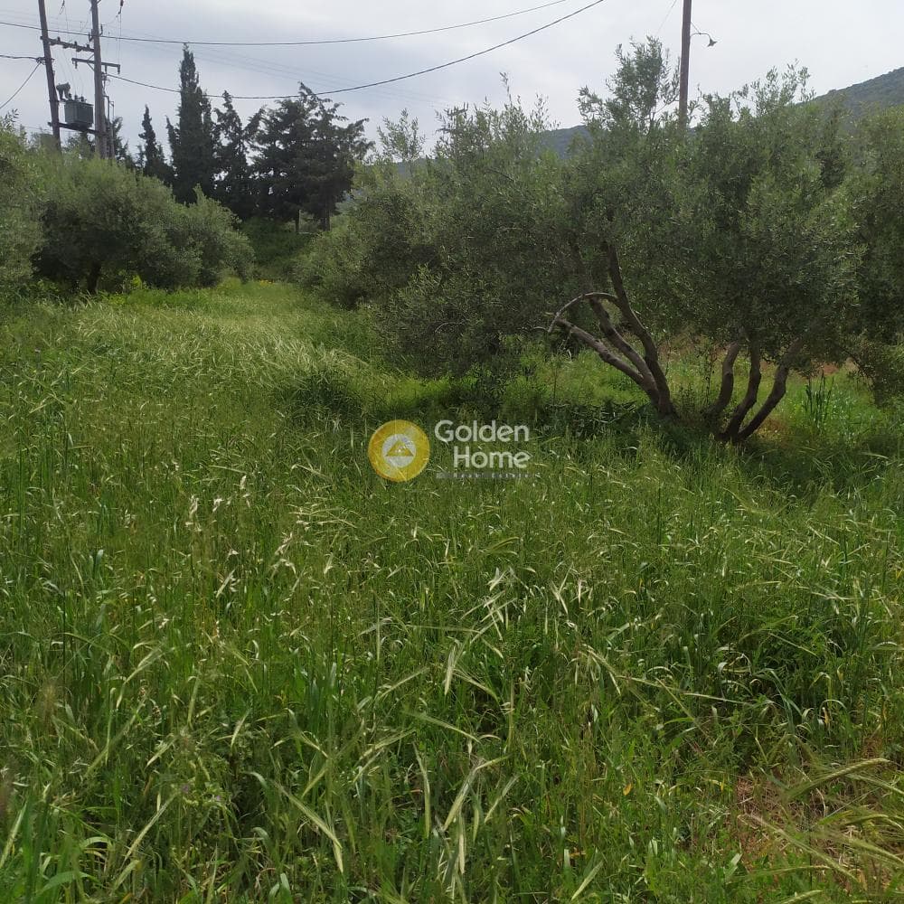 Building Plot in Epano Archanes, Archanes — Photo 6 of 17