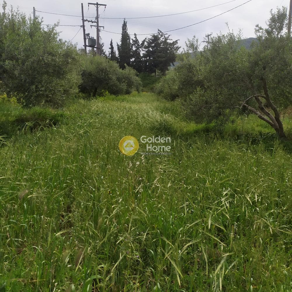 Building Plot in Epano Archanes, Archanes — Photo 4 of 17