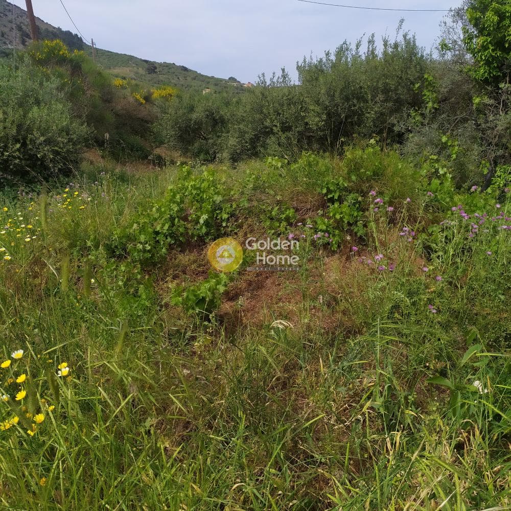 Building Plot in Epano Archanes, Archanes — Photo 2 of 17
