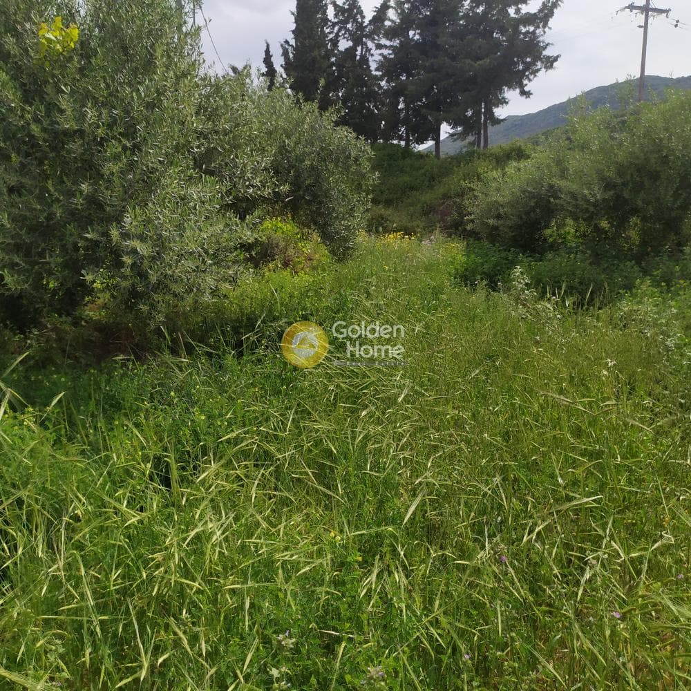 Building Plot in Epano Archanes, Archanes — Photo 3 of 17