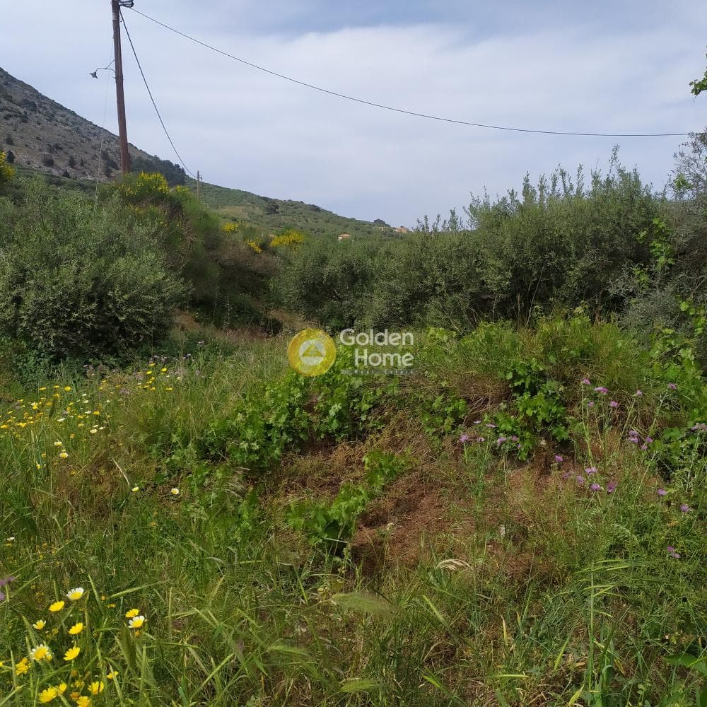 Building Plot in Epano Archanes, Archanes — Photo 11 of 17