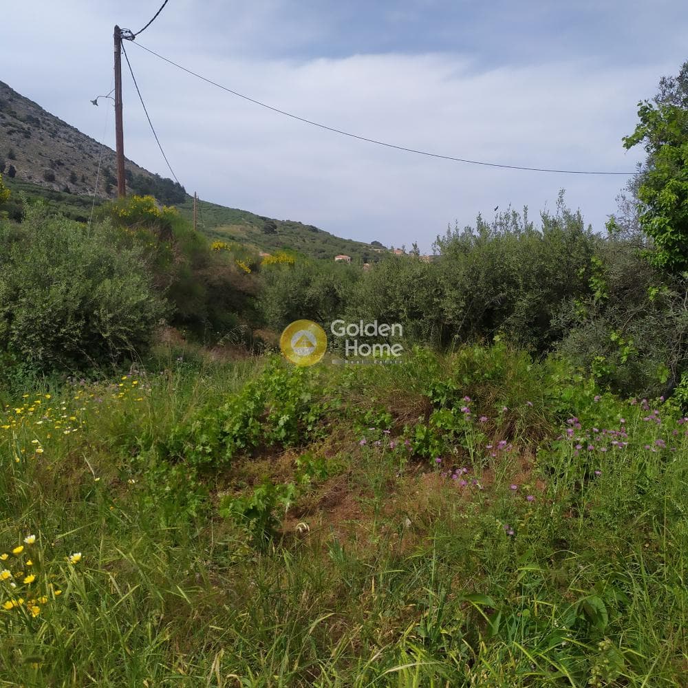 Building Plot in Epano Archanes, Archanes — Photo 12 of 17