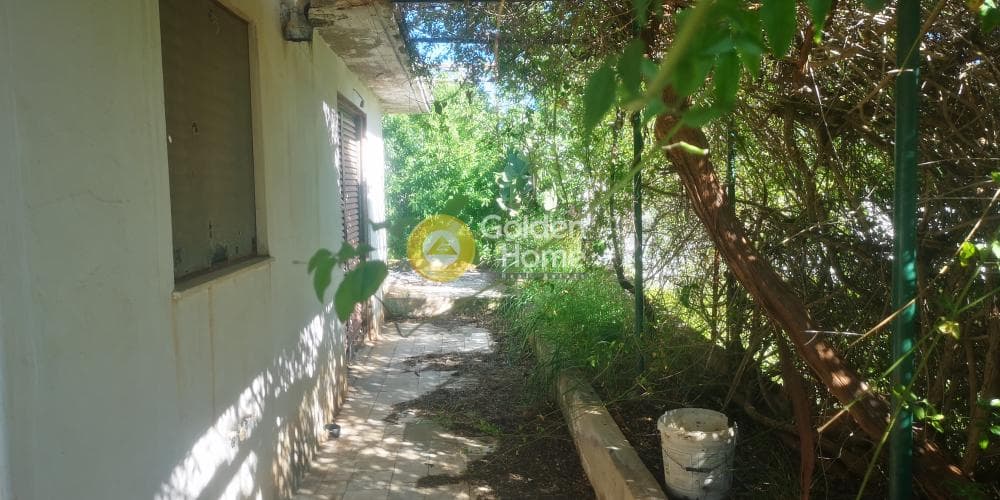 Μονοκατοικία στην Καλύβια, Καλύβια Θορικού — Φωτογραφία 2 από 4