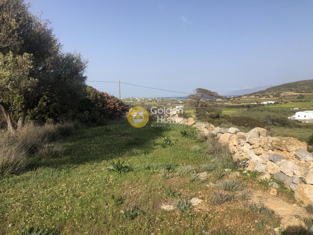 Parcel in Moni Agiou Antoniou, Paros — Photo 4 of 7