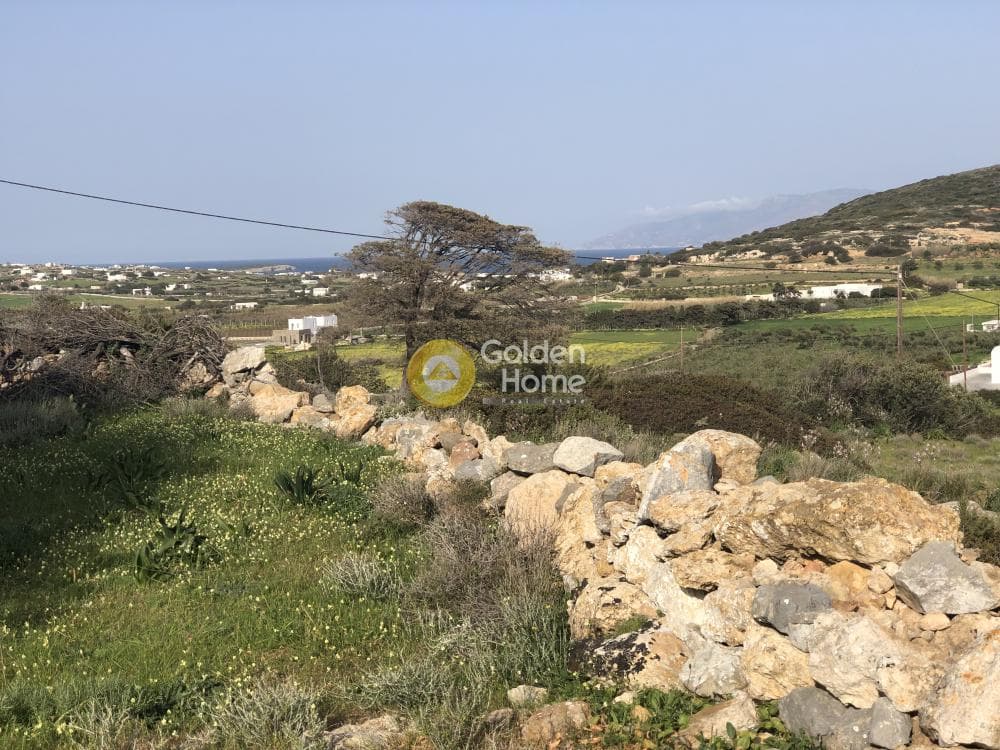 Parcel in Moni Agiou Antoniou, Paros — Photo 5 of 7