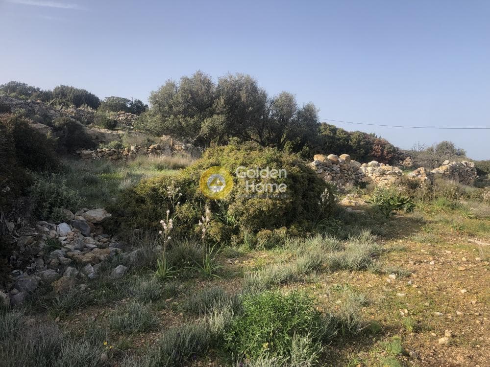 Parcel in Moni Agiou Antoniou, Paros — Photo 6 of 7
