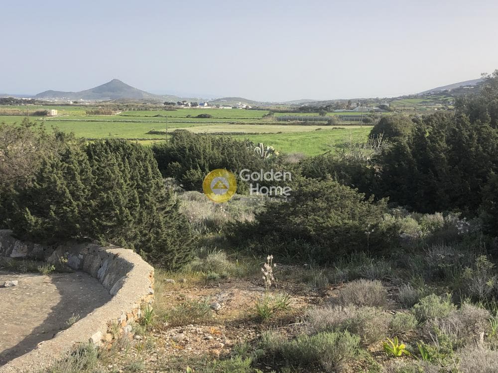 Parcel in Isterni, Paros — Photo 3 of 6