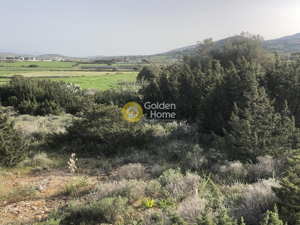 Parcel in Isterni, Paros — Photo 4 of 6
