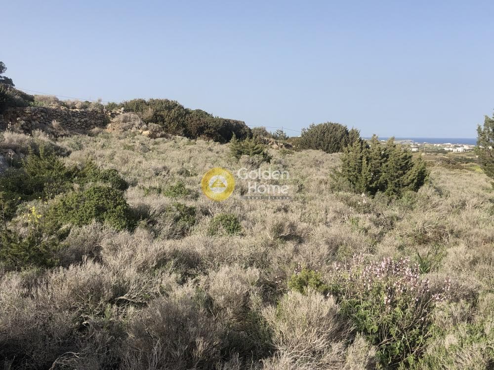 Parcel in Isterni, Paros — Photo 5 of 6