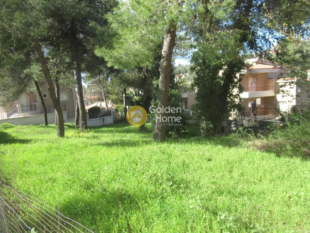 Building Plot in Rodopoli, Rodopoli — Photo 3 of 16