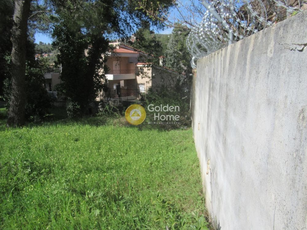 Building Plot in Rodopoli, Rodopoli — Photo 4 of 16