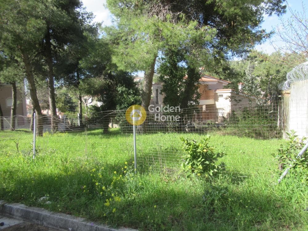 Building Plot in Rodopoli, Rodopoli — Photo 5 of 16